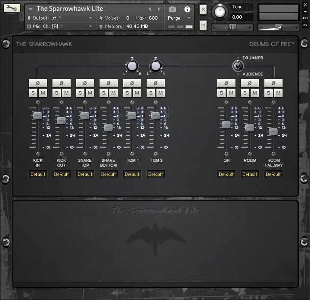 The Sparrowhawk - Robin Leijon